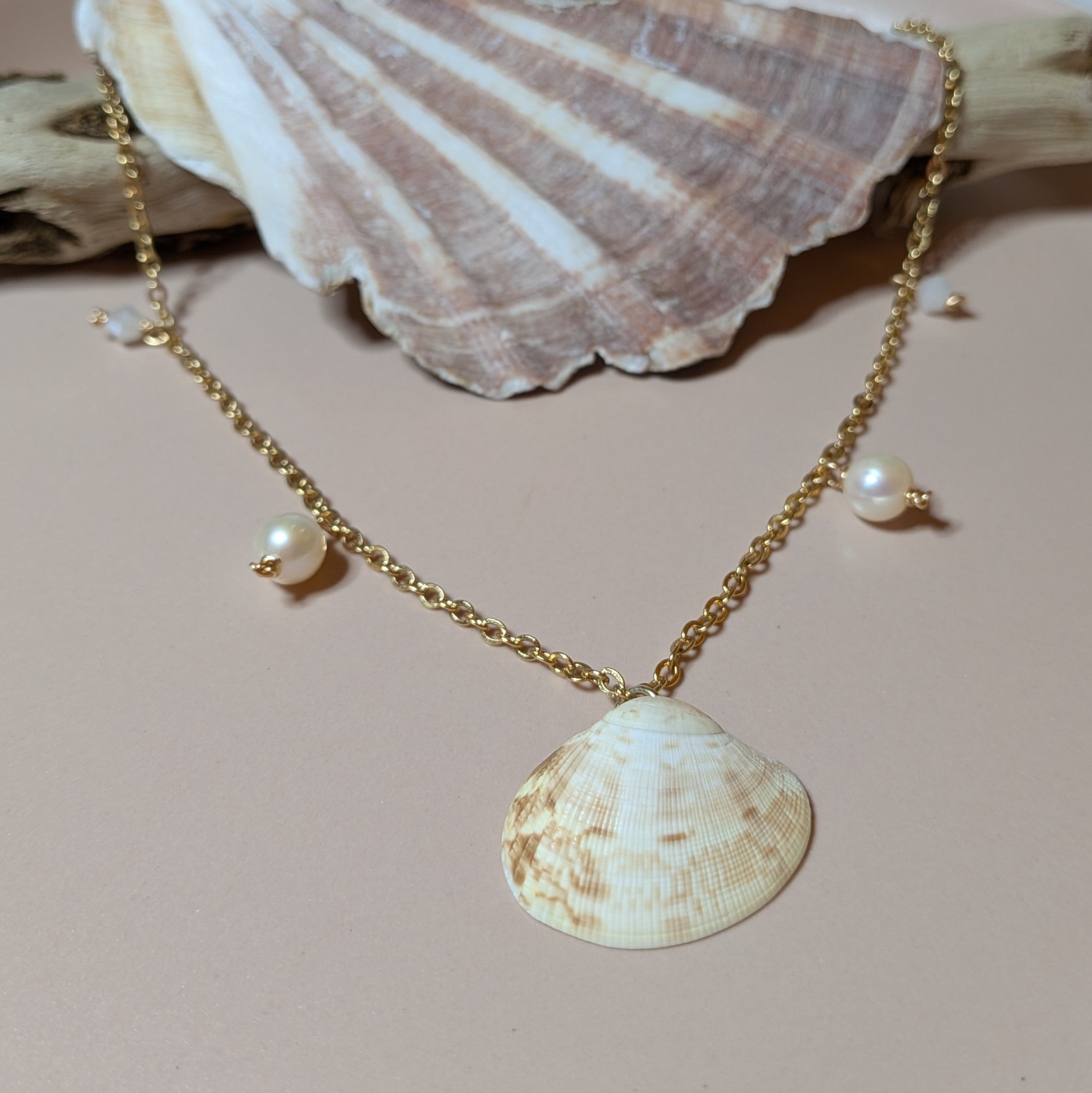 Clam shell and pearl necklace