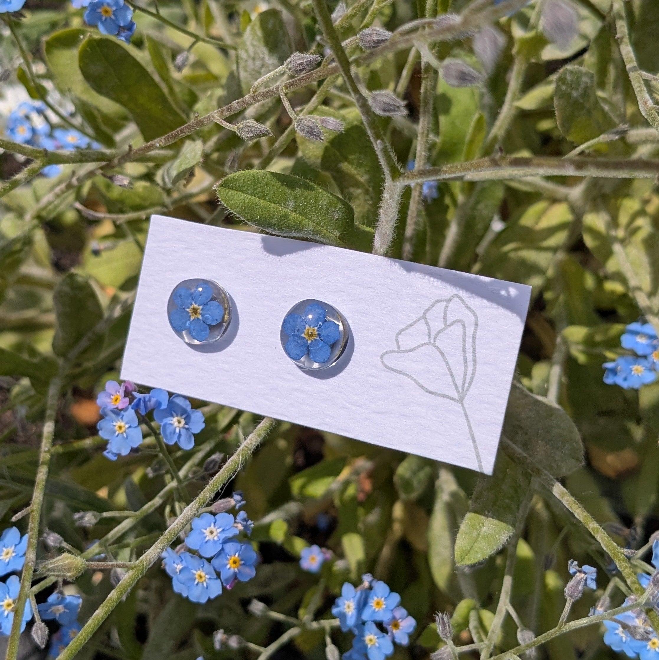 Forget me not studs