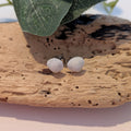 Cockle shell stud earrings