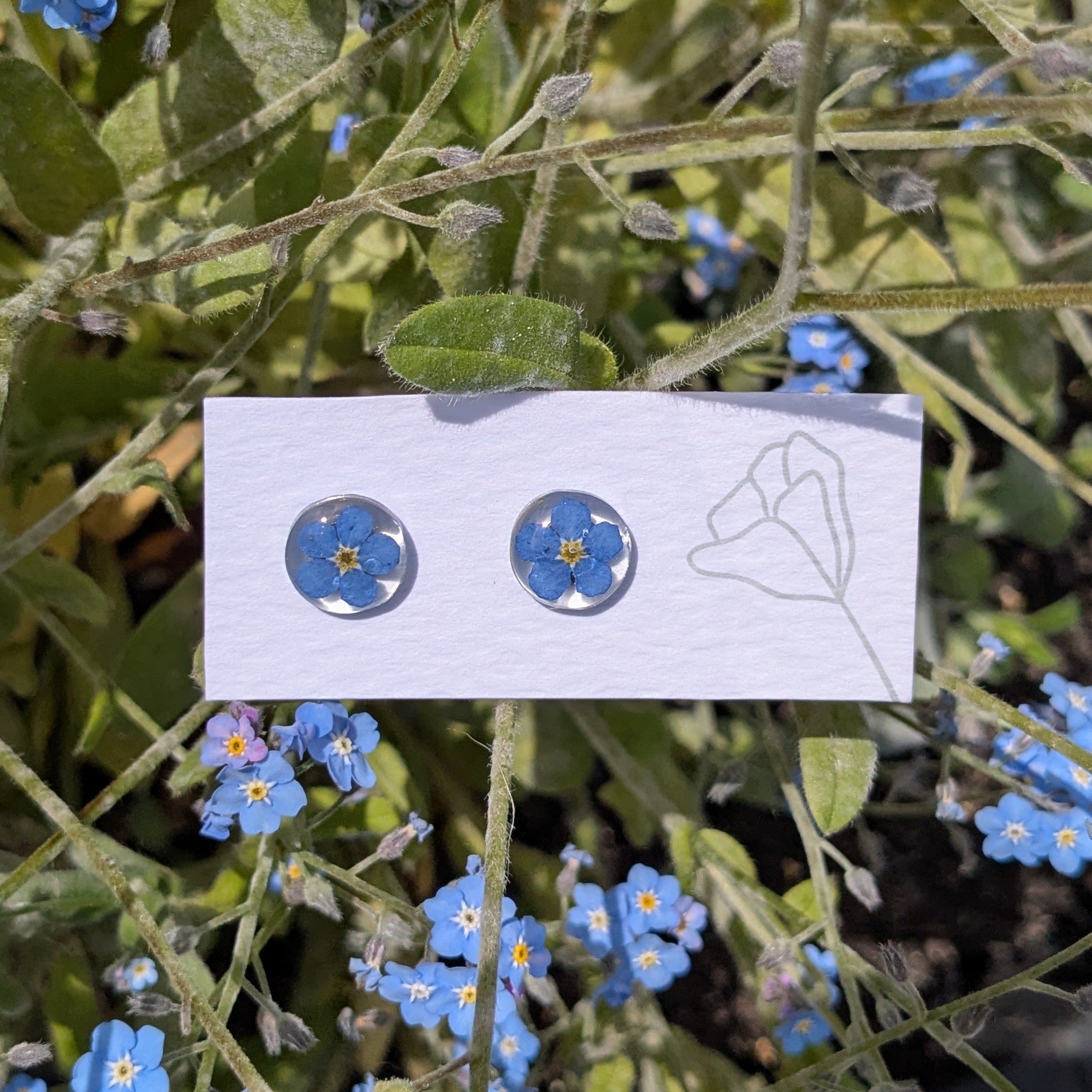 Forget me not studs