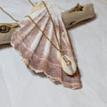 Cowrie shell and freshwater pearl necklace