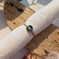 Dinky beach ring (gold)