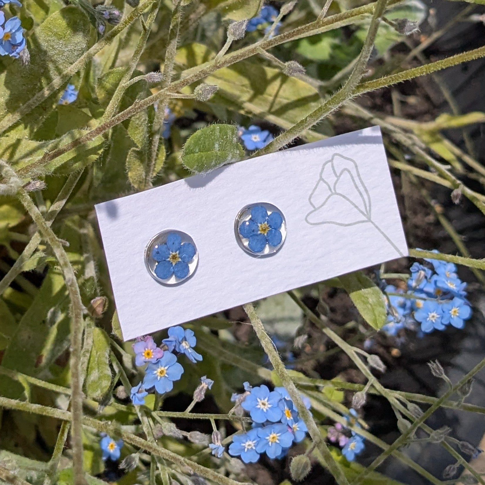 Forget me not studs